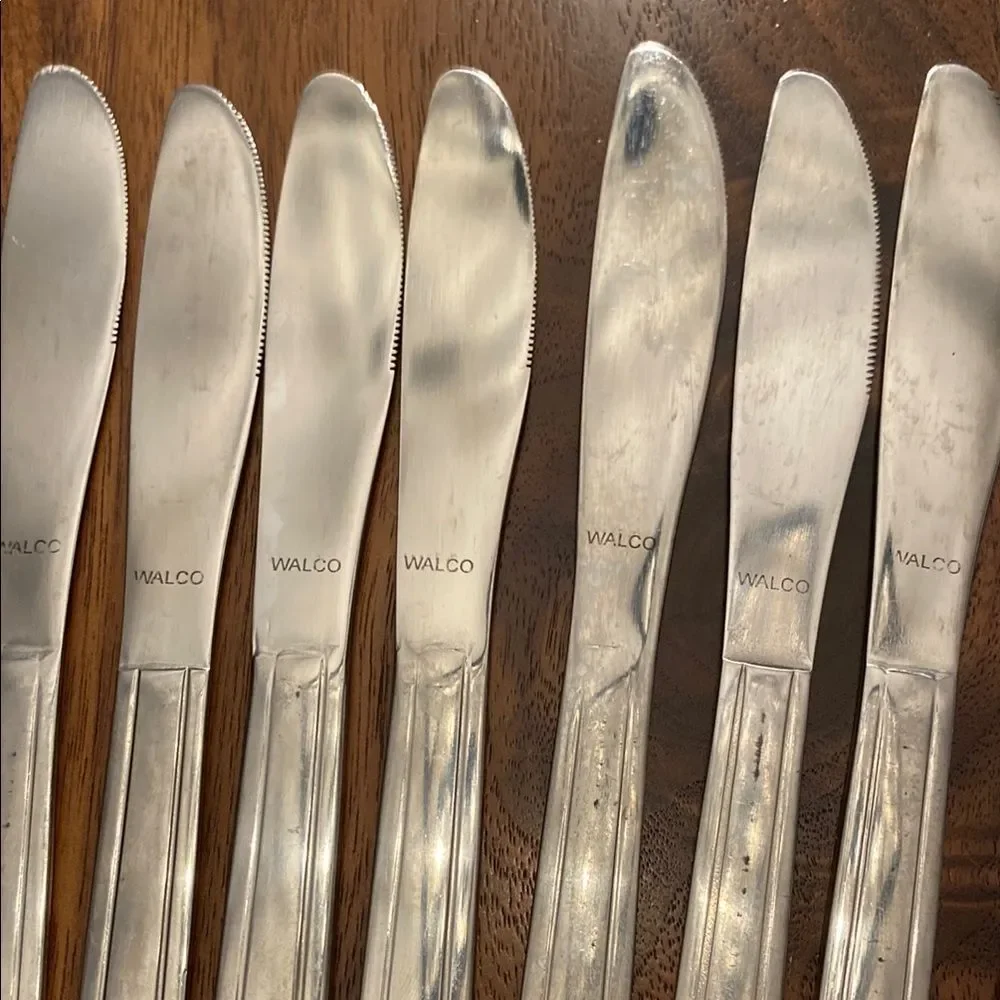 Walco 18-0 Stainless Steel Silver Butter Knives Set of 12 Silverware Flatware